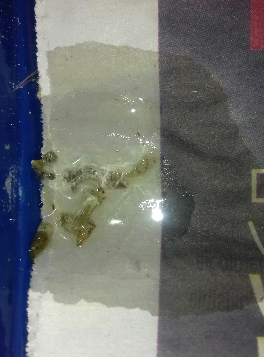 20190627_161719-1.jpg