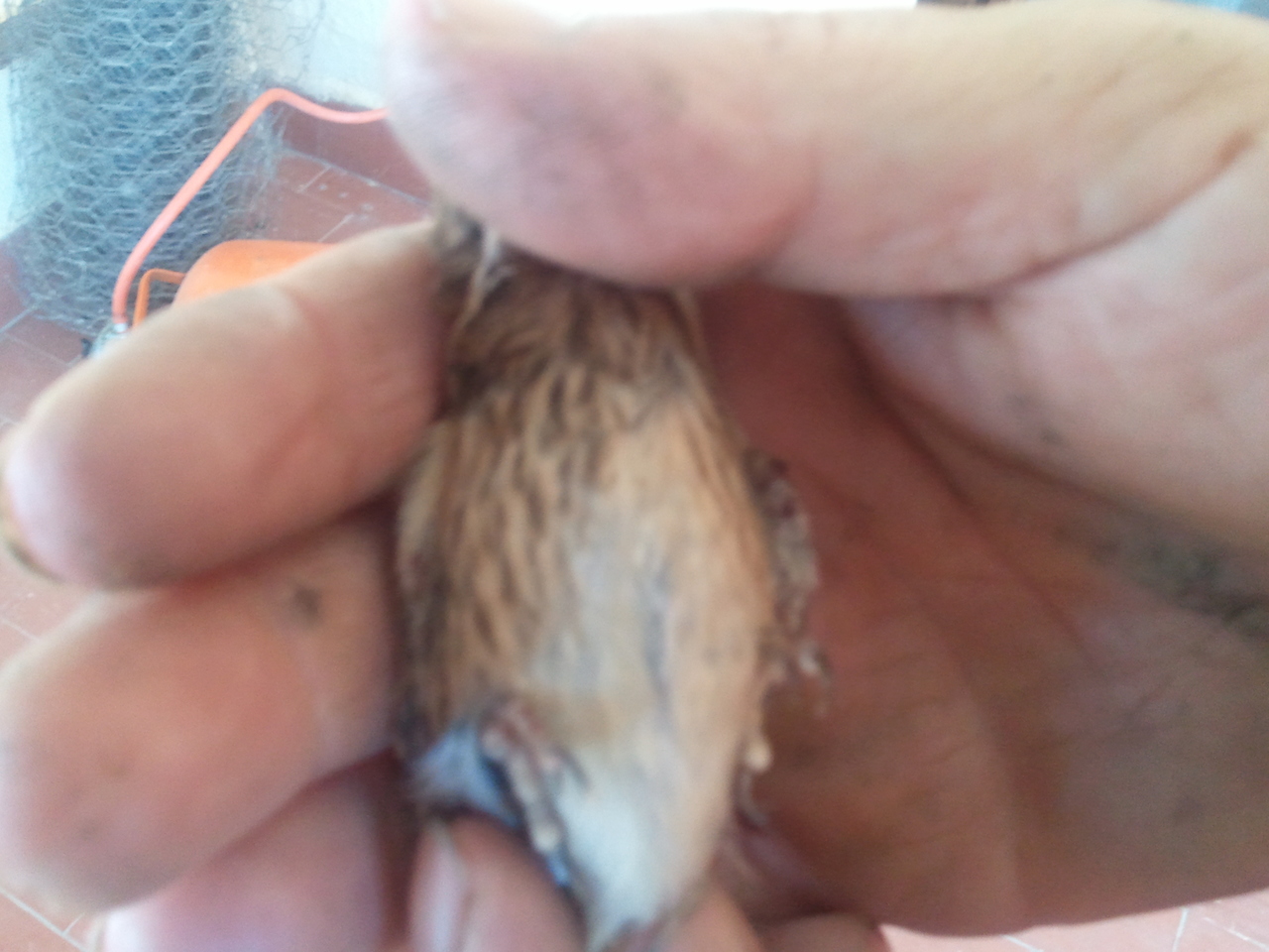 2011-07-20 14.12.41.jpg