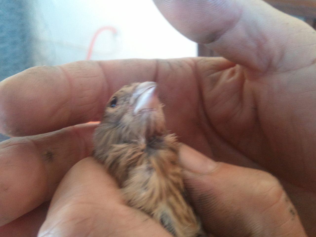 2011-07-20 14.13.02.jpg