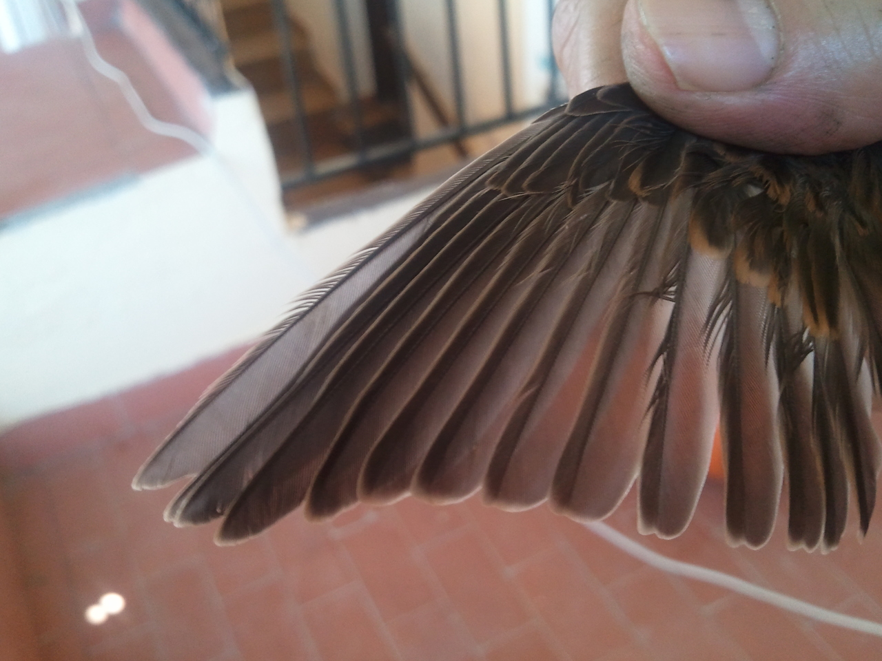 2011-07-20 14.13.41.jpg