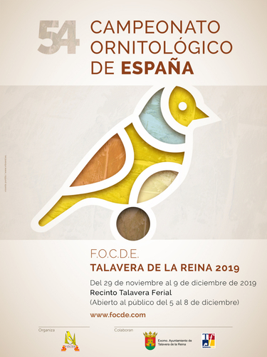 00-07-30-CARTEL_campeonato-2019.jpg