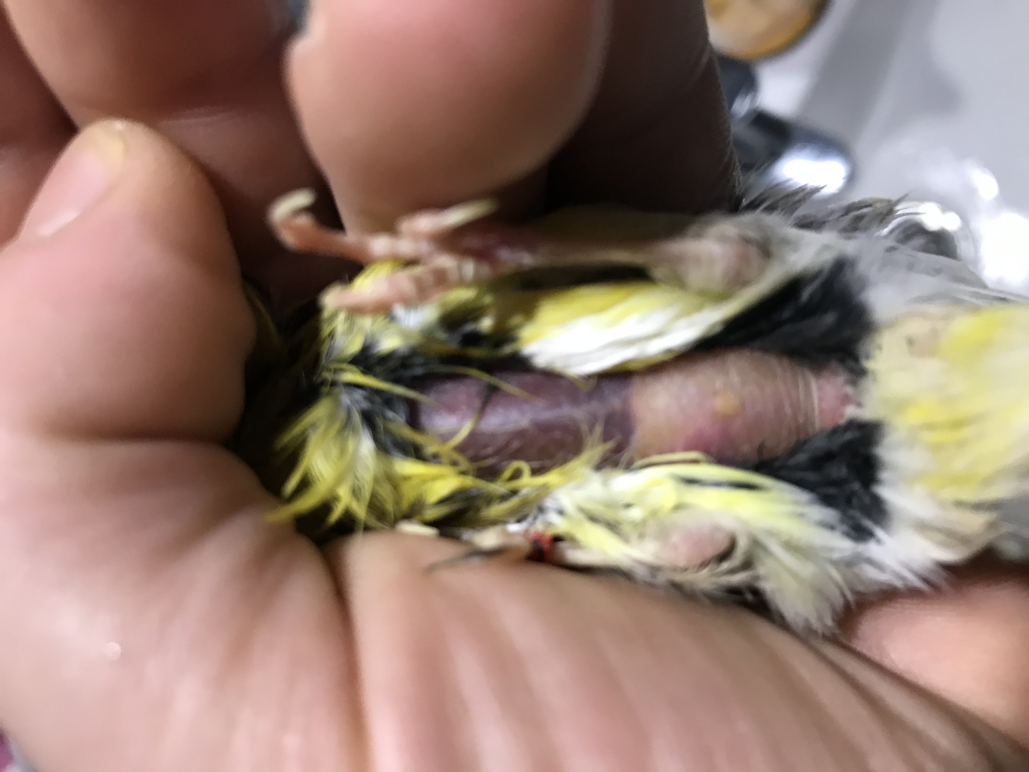 20E52D00-BD87-46B8-949A-5850745C4E30.jpeg