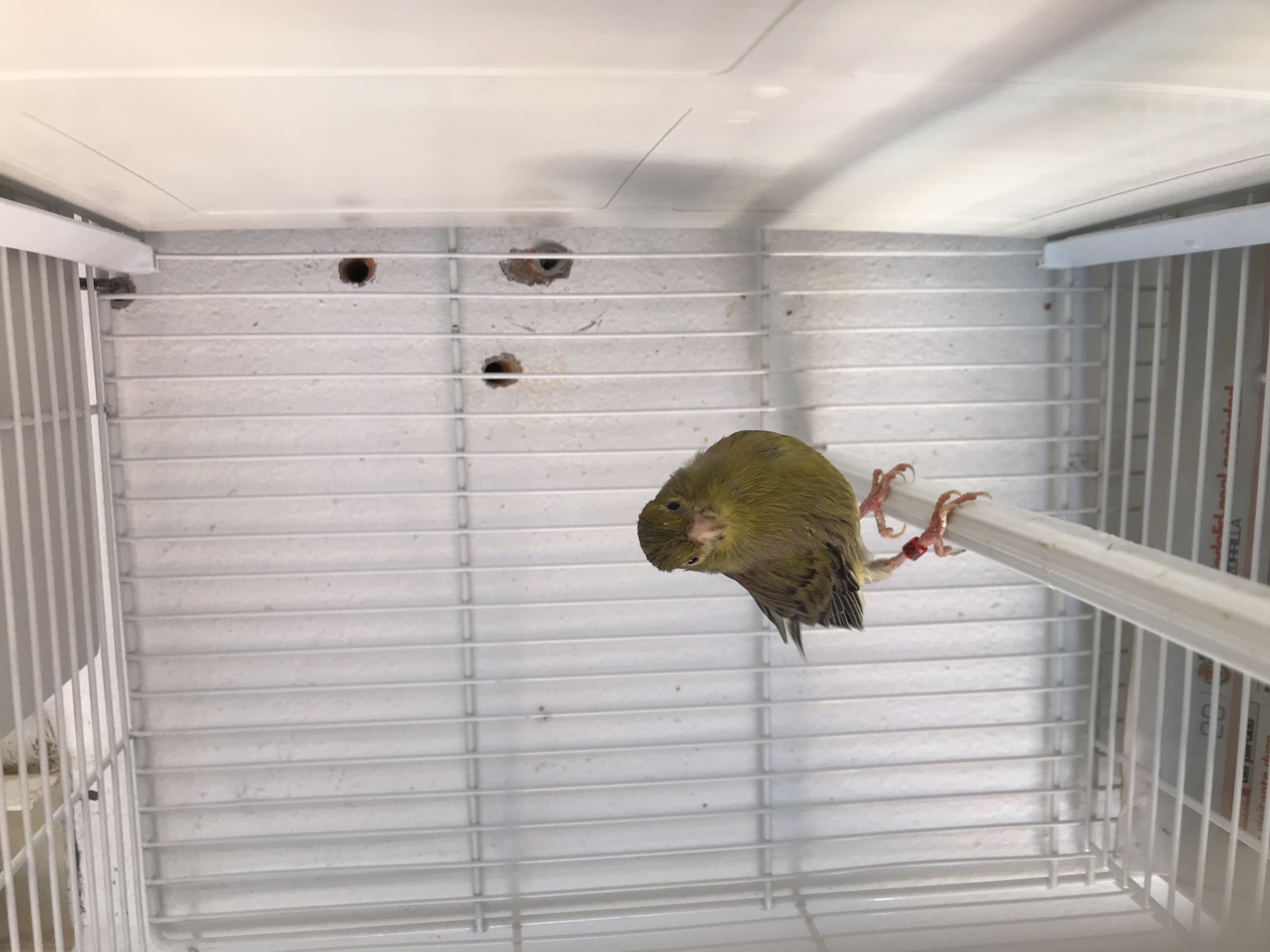 24F6158E-0235-4F9E-84D3-31EA2222F399.jpeg