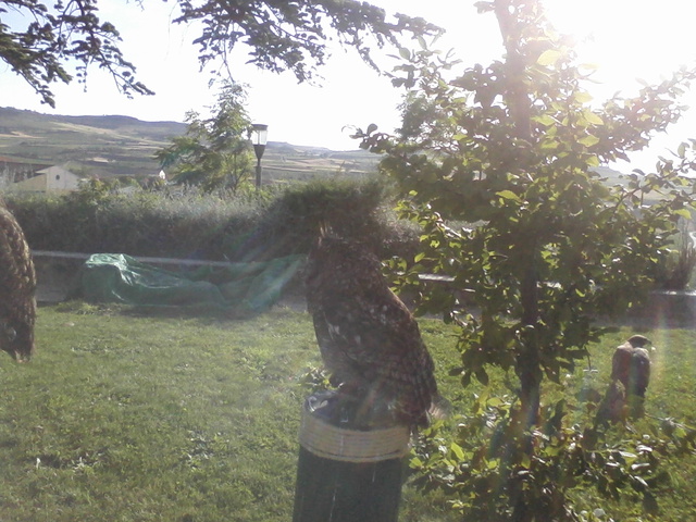 Foto-0041.jpg