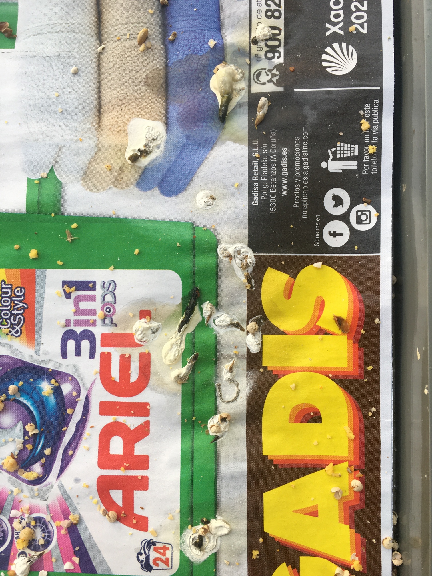 Foto 19-1-20 11 44 47.jpg