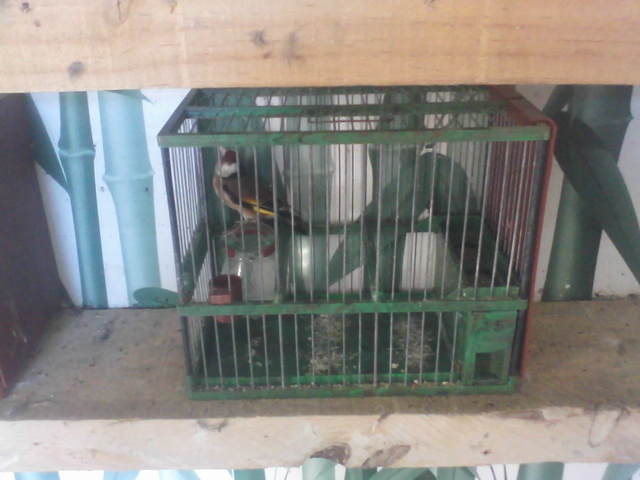 Foto-0006.jpg
