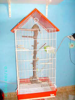 SANY0009.JPG