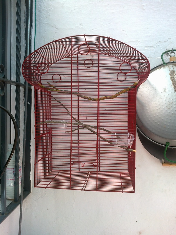 jaula1.jpg