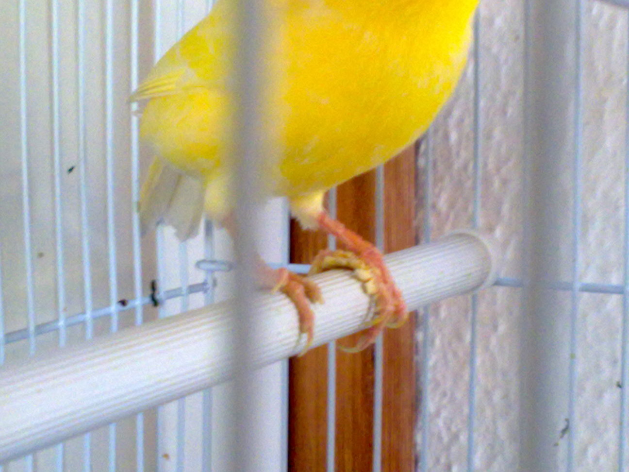 13072011190.jpg