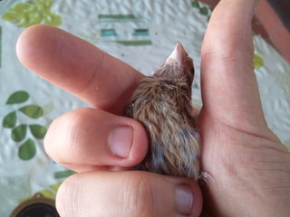 2011-08-09 15.33.29.jpg