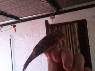 2011-08-09 15.34.00.jpg