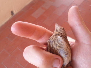 2011-08-09 15.29.01.jpg