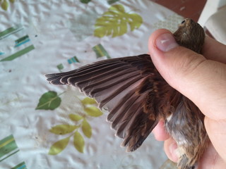 2011-08-09 15.29.42.jpg