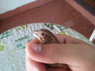 2011-08-09 15.29.17.jpg