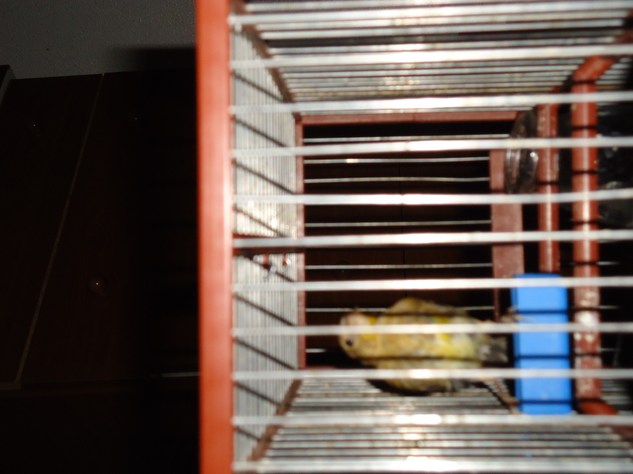 Imagen MIXTO 005.jpg