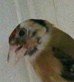 11082011009.jpg