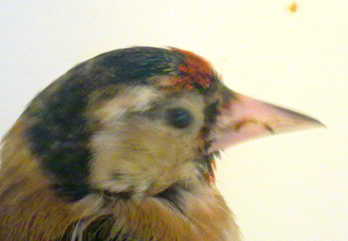 11082011006.jpg