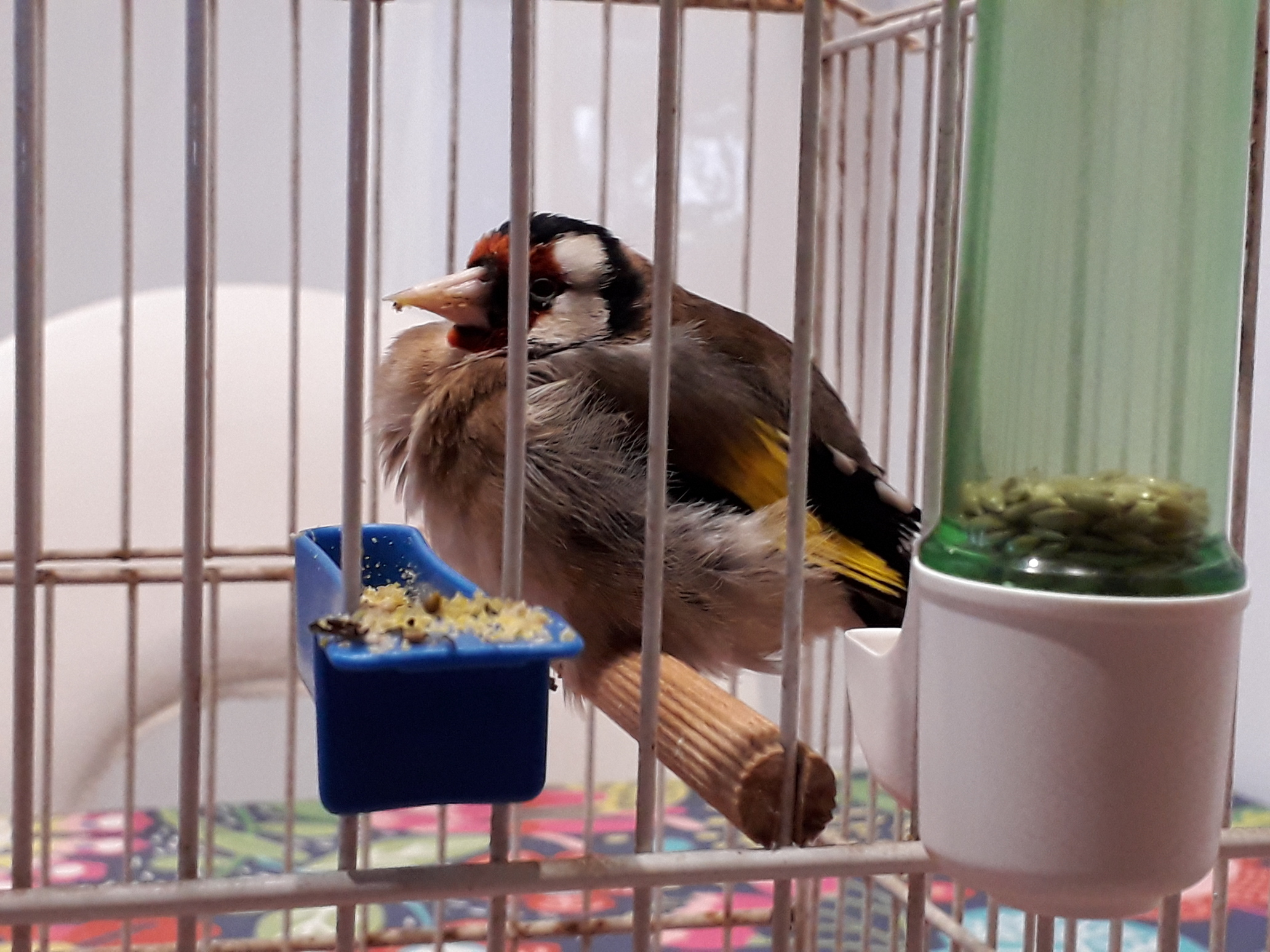 20201221_101402.jpg