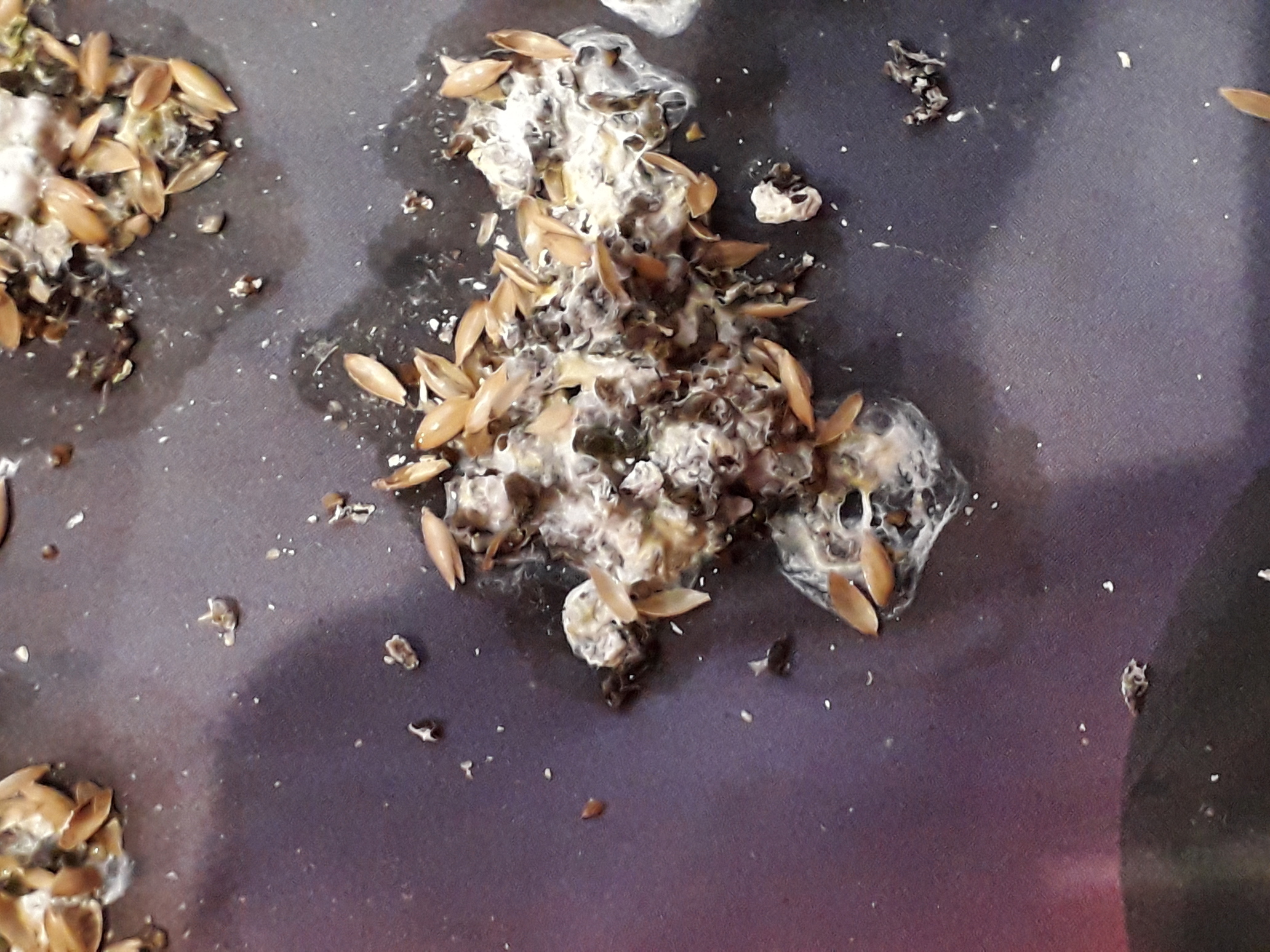 20201218_100131.jpg