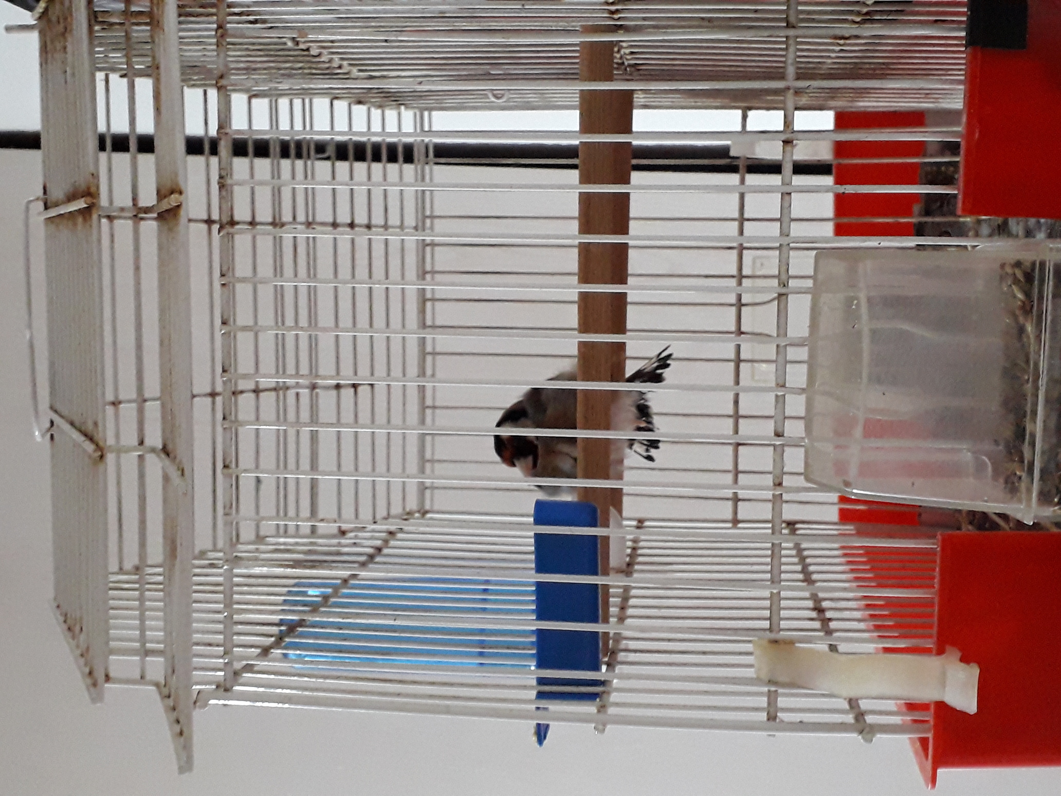 20201209_102603.jpg