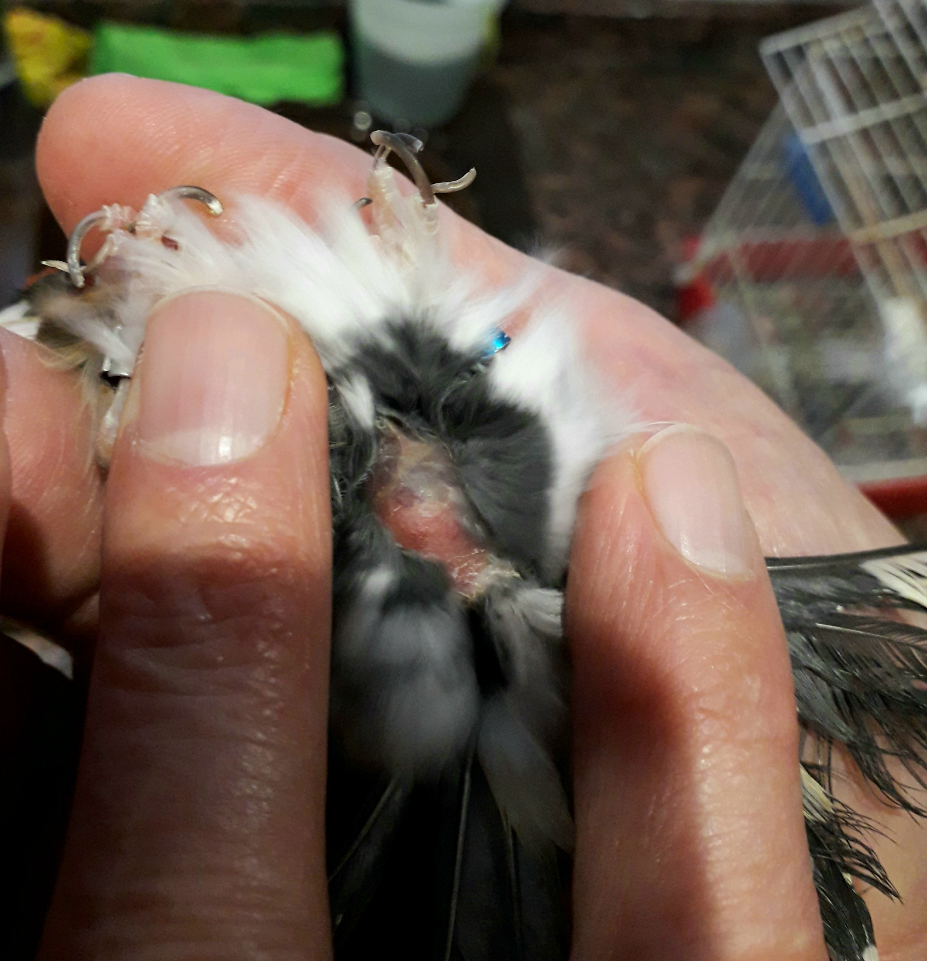 20201223_174934.jpg