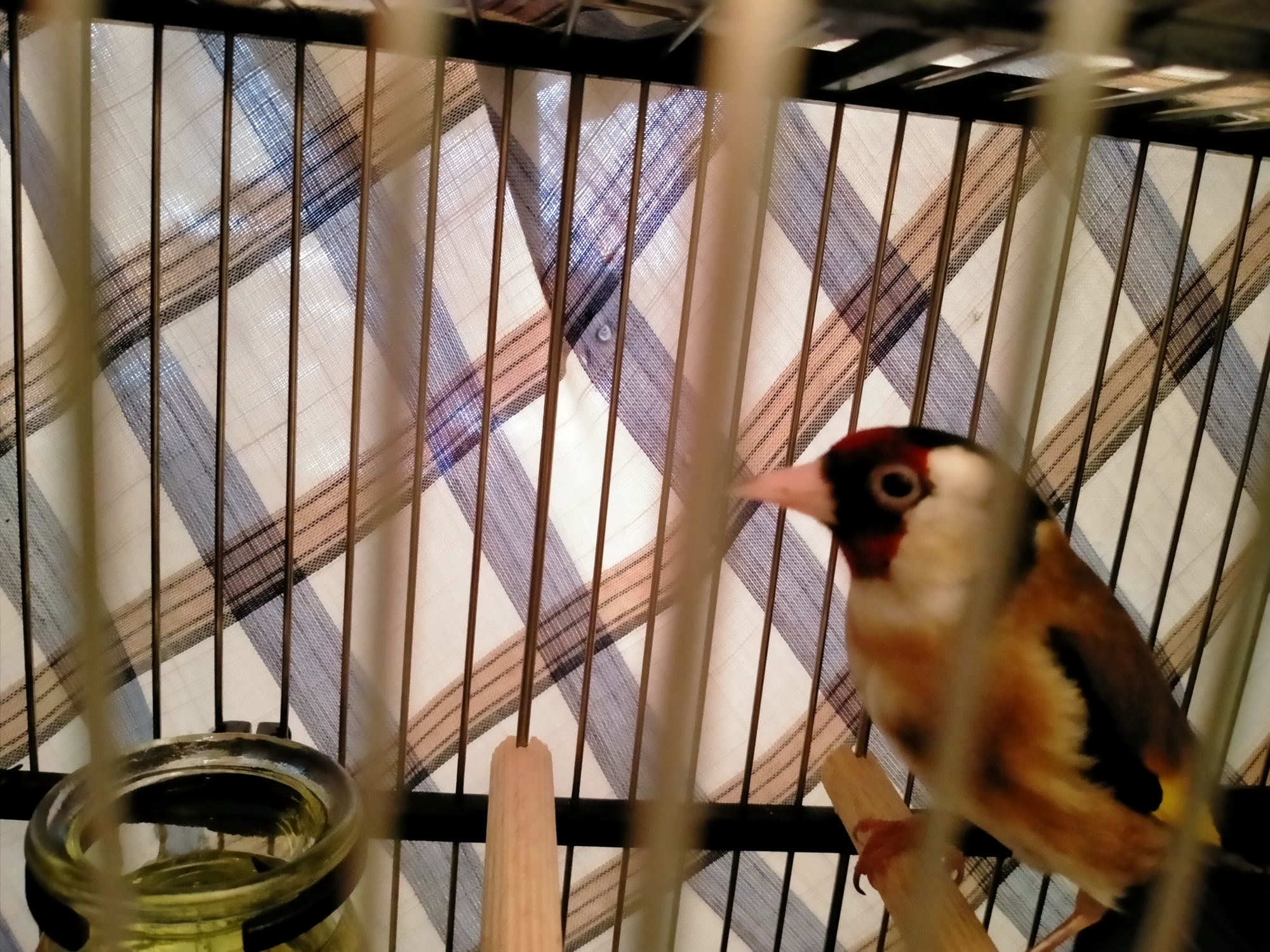 IMG20210526204114.jpg