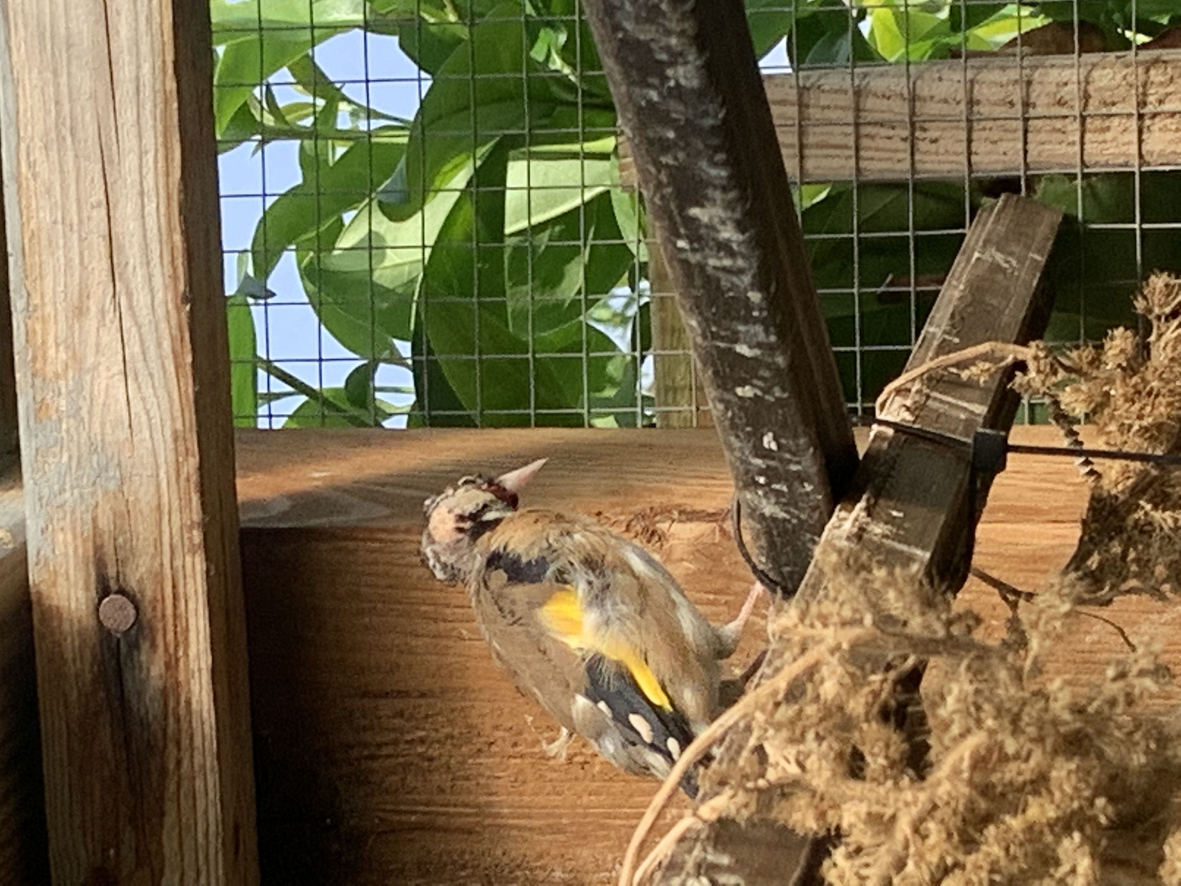 4002D76A-6E4B-4DF8-8502-D22B0D05AA5B.jpeg