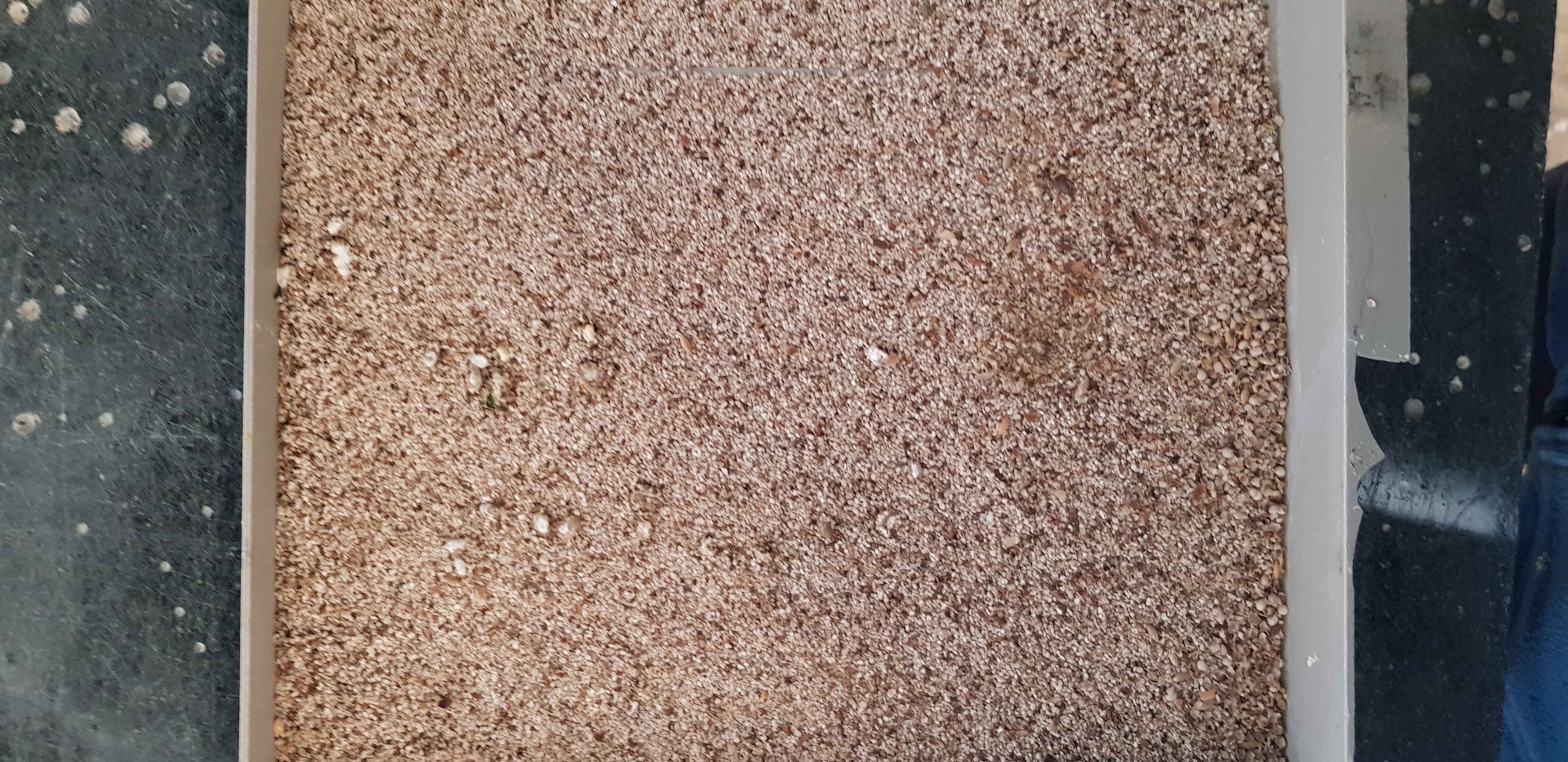 20211217_114607.jpg