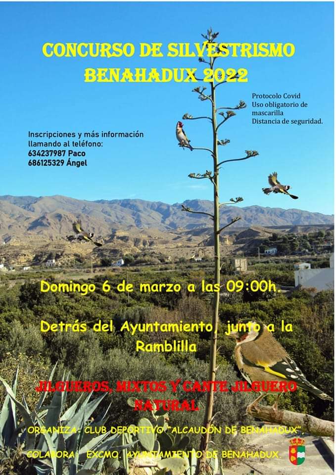 Almeria 6 marzo.jpg