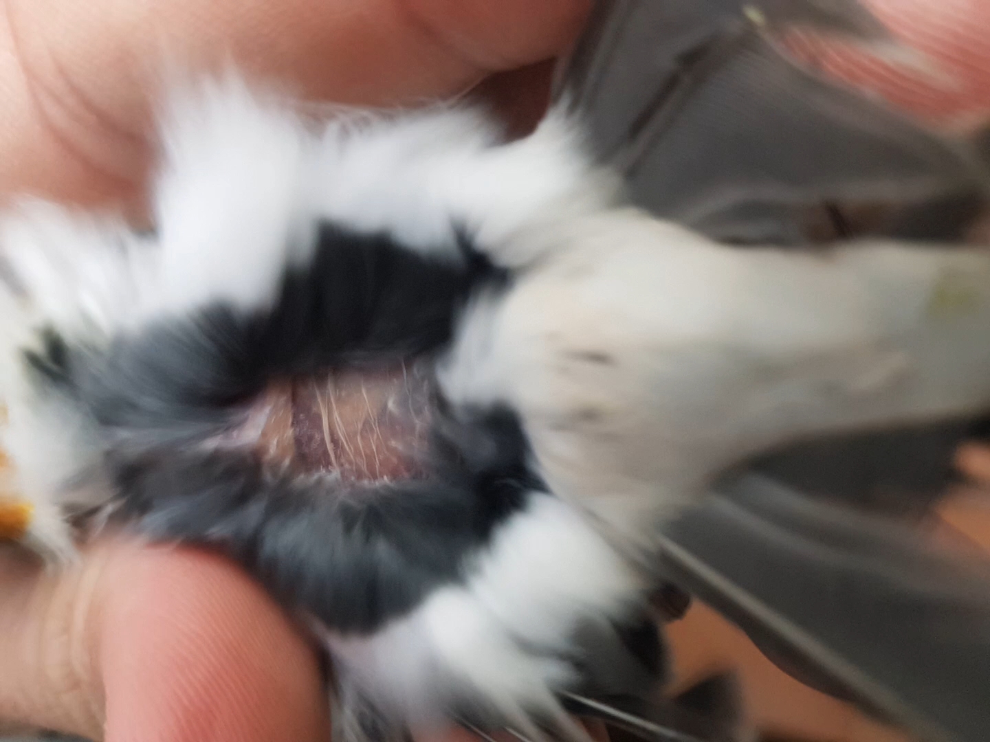 20220216_203216_capture(0).jpg