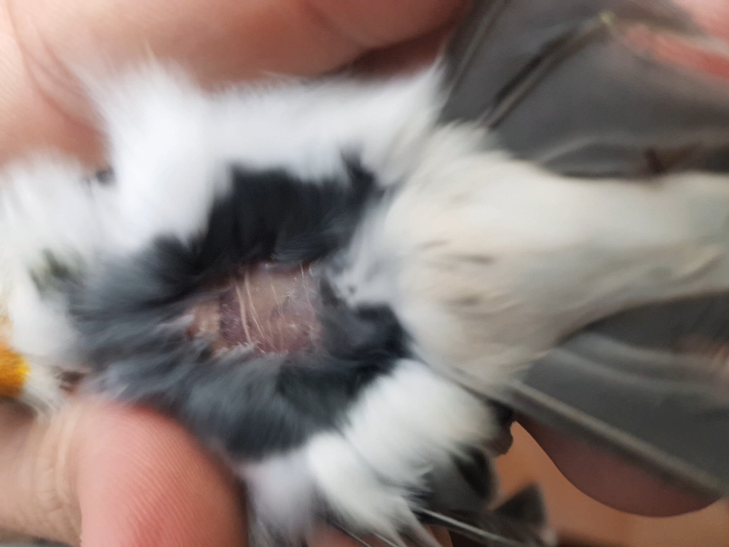 20220216_203216_capture(1).jpg