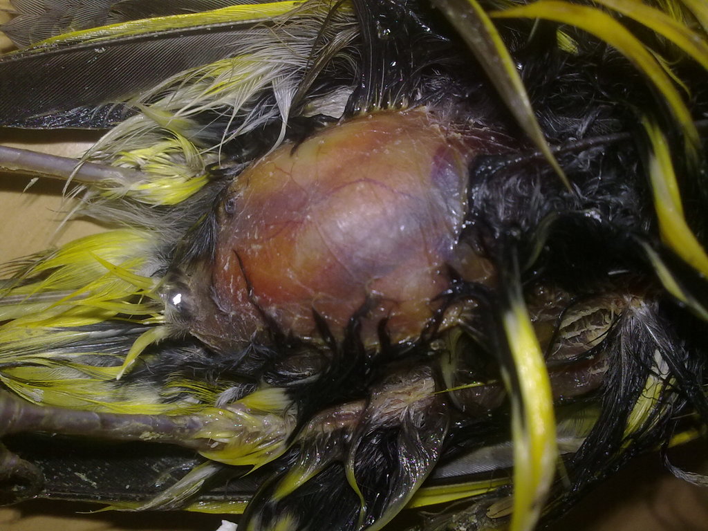 22082011215.jpg