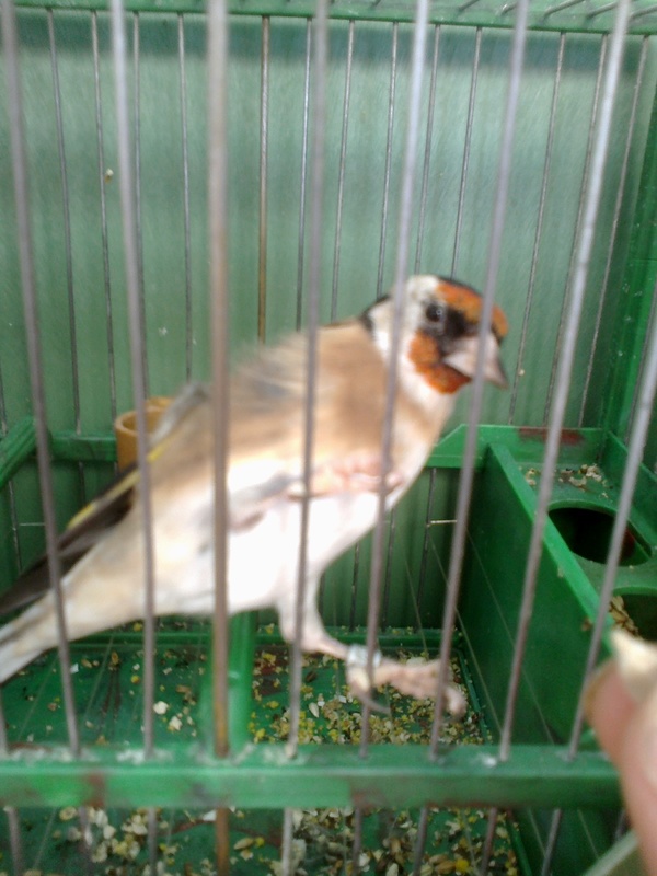 m2.jpg