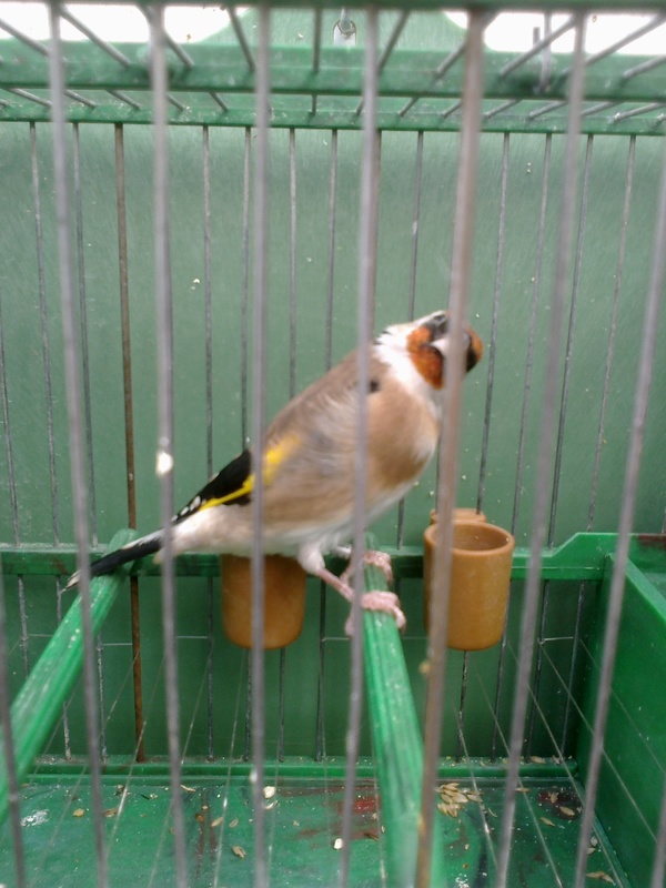 m6.jpg