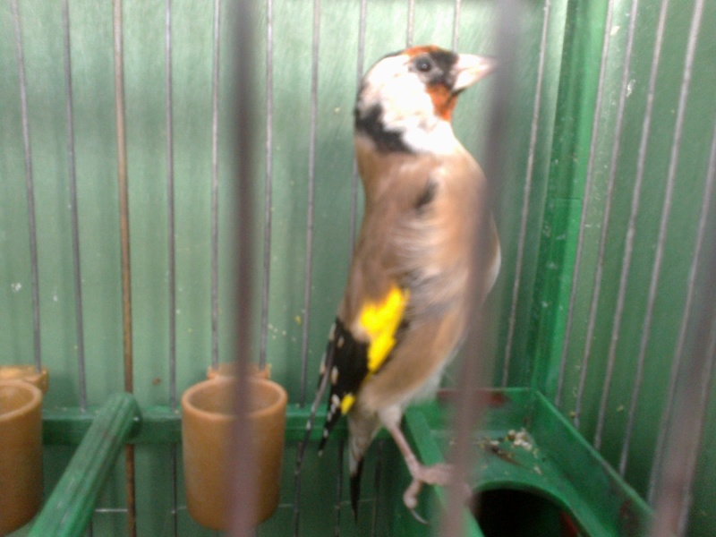 pose1.jpg