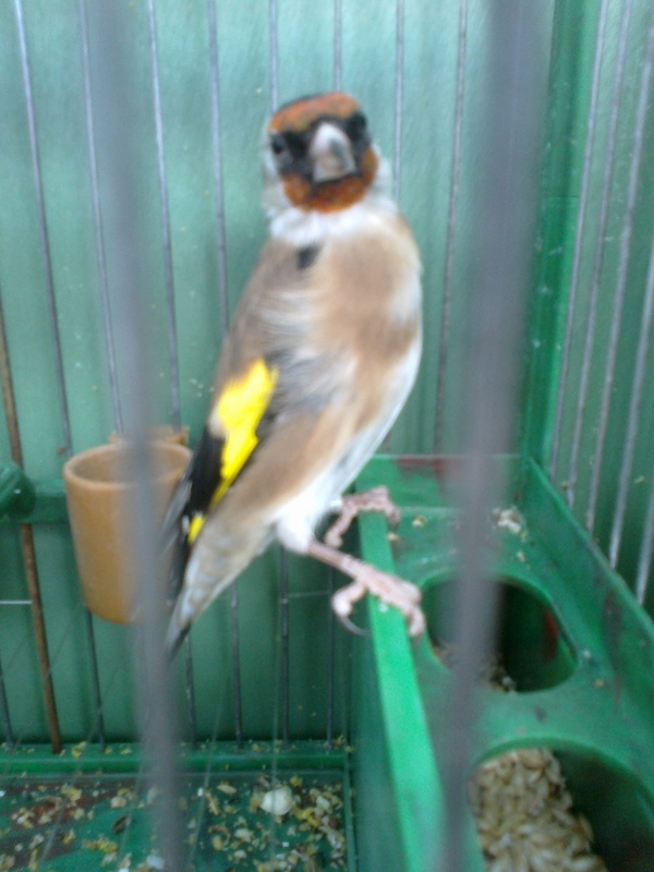 pose2.jpg