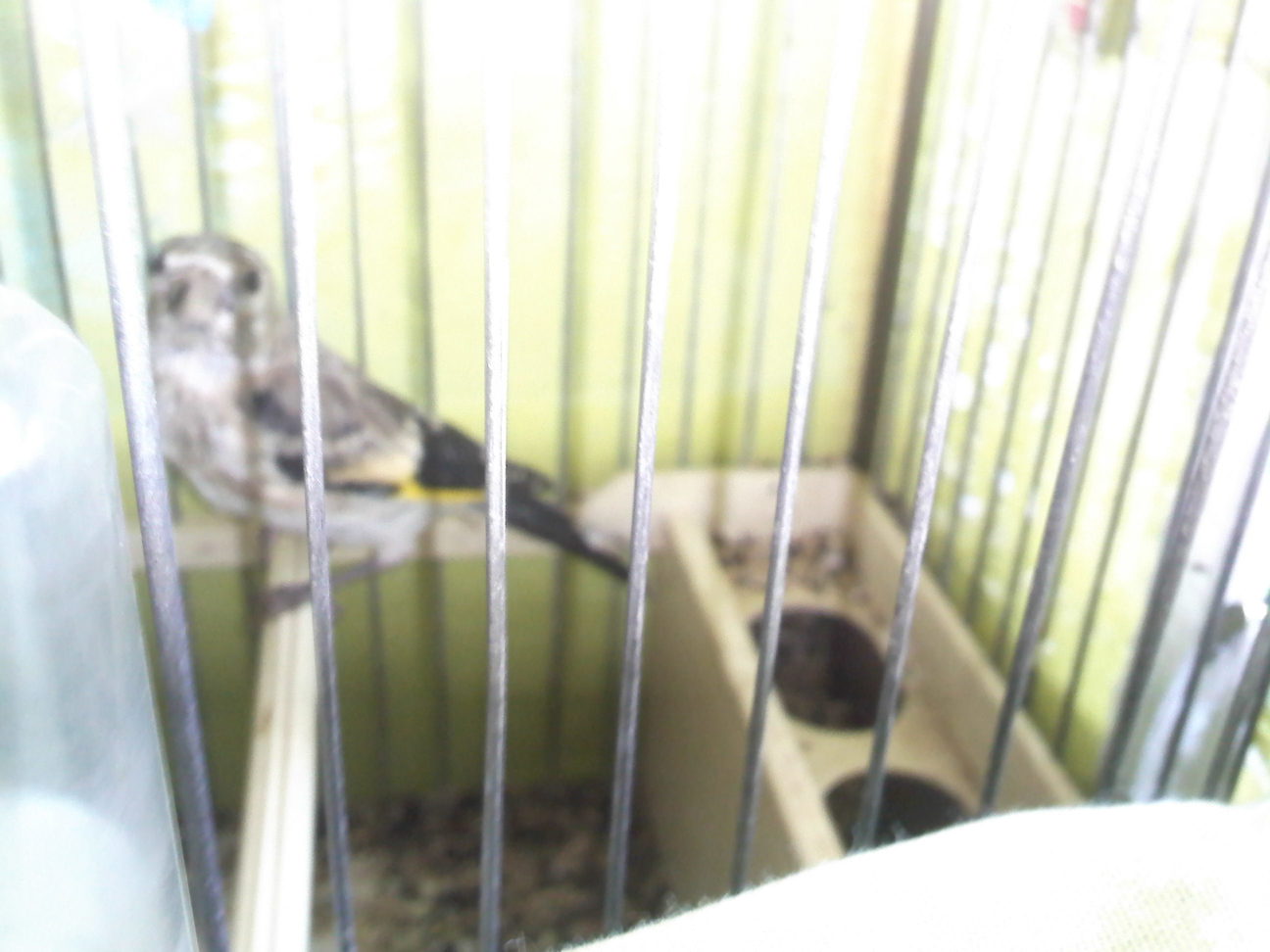 IMG157.jpg