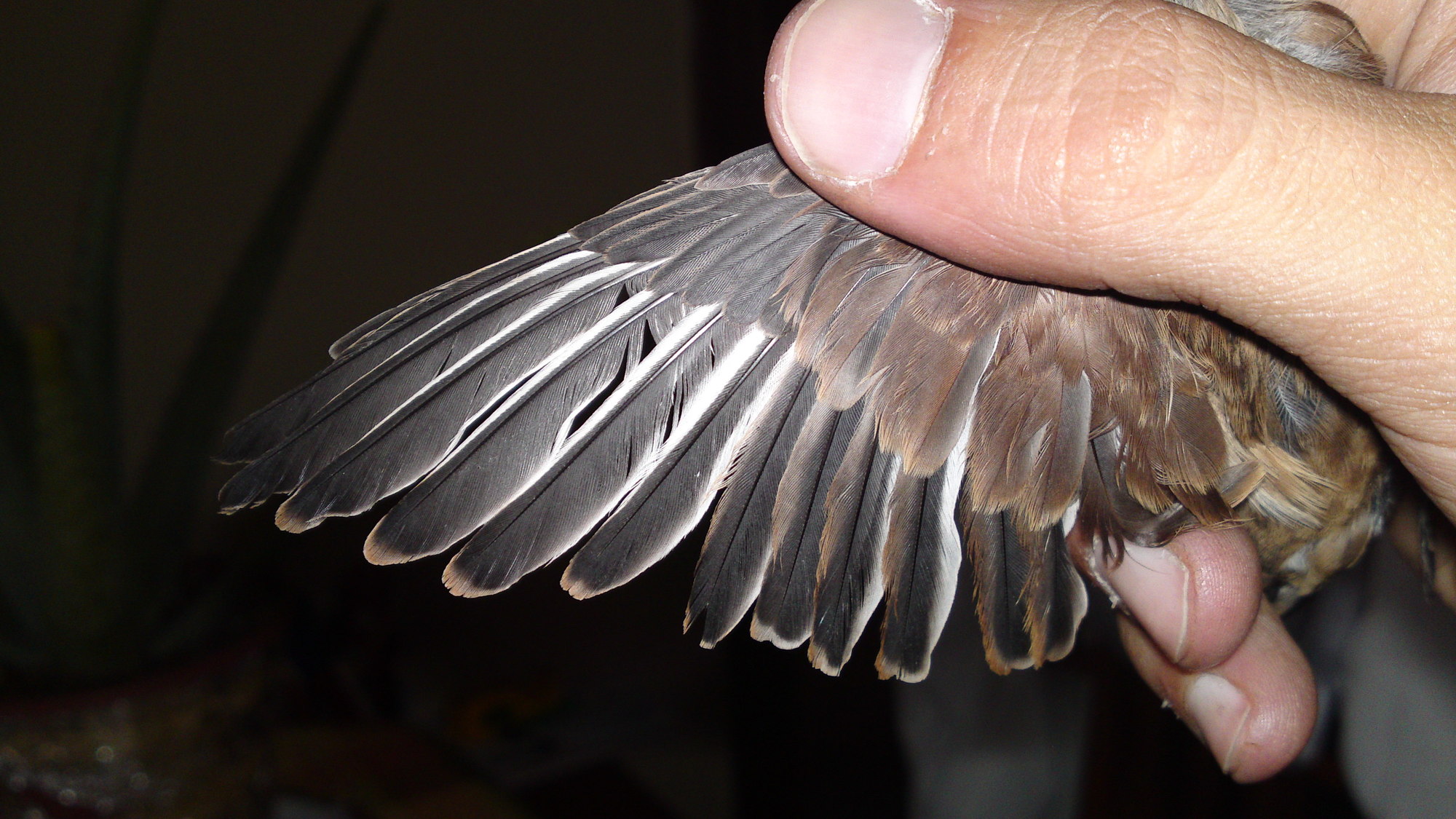 14102010050.JPG