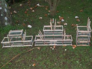 Jaulas trampa ,algunos modelos