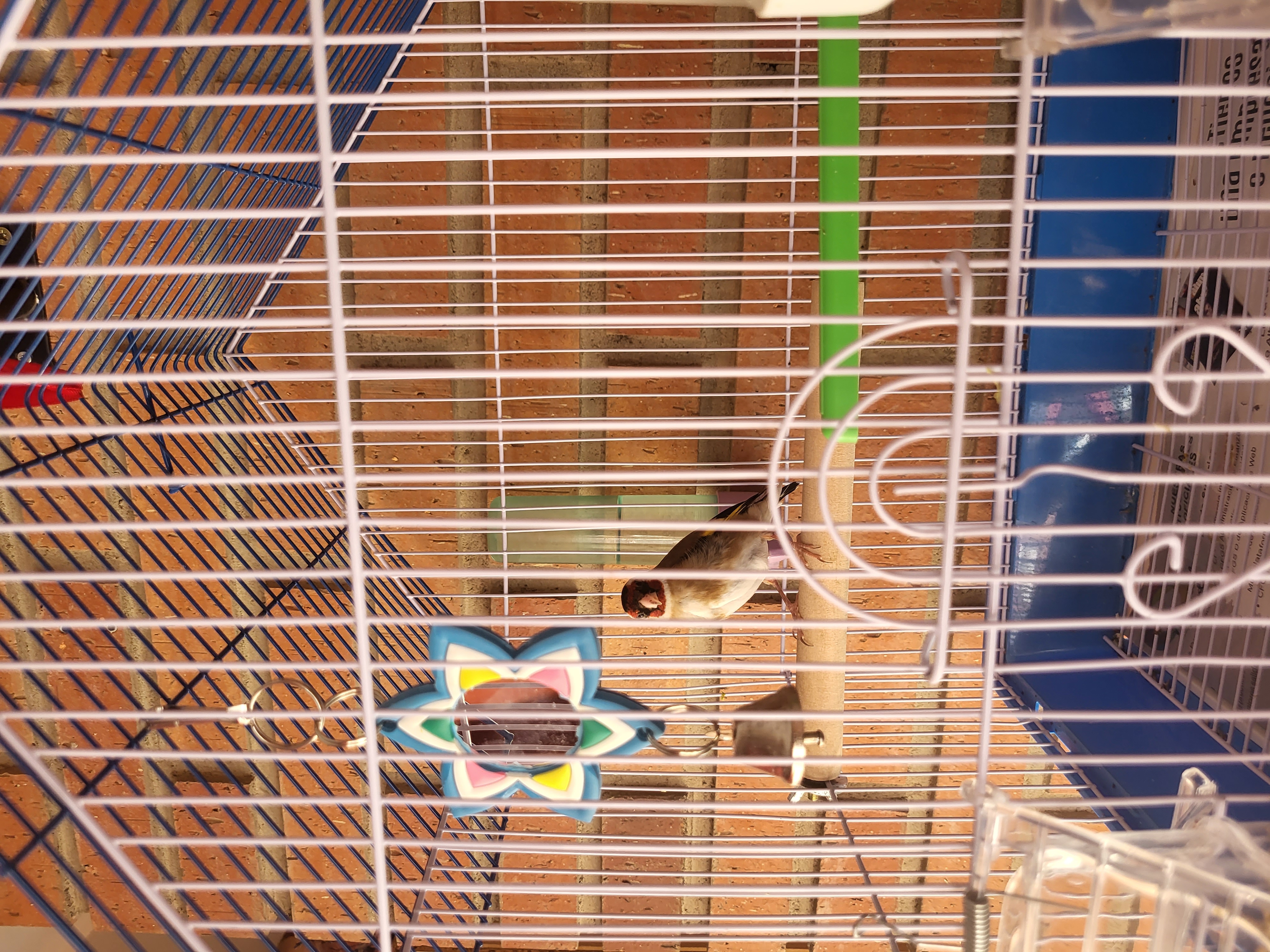 20230815_105749.jpg