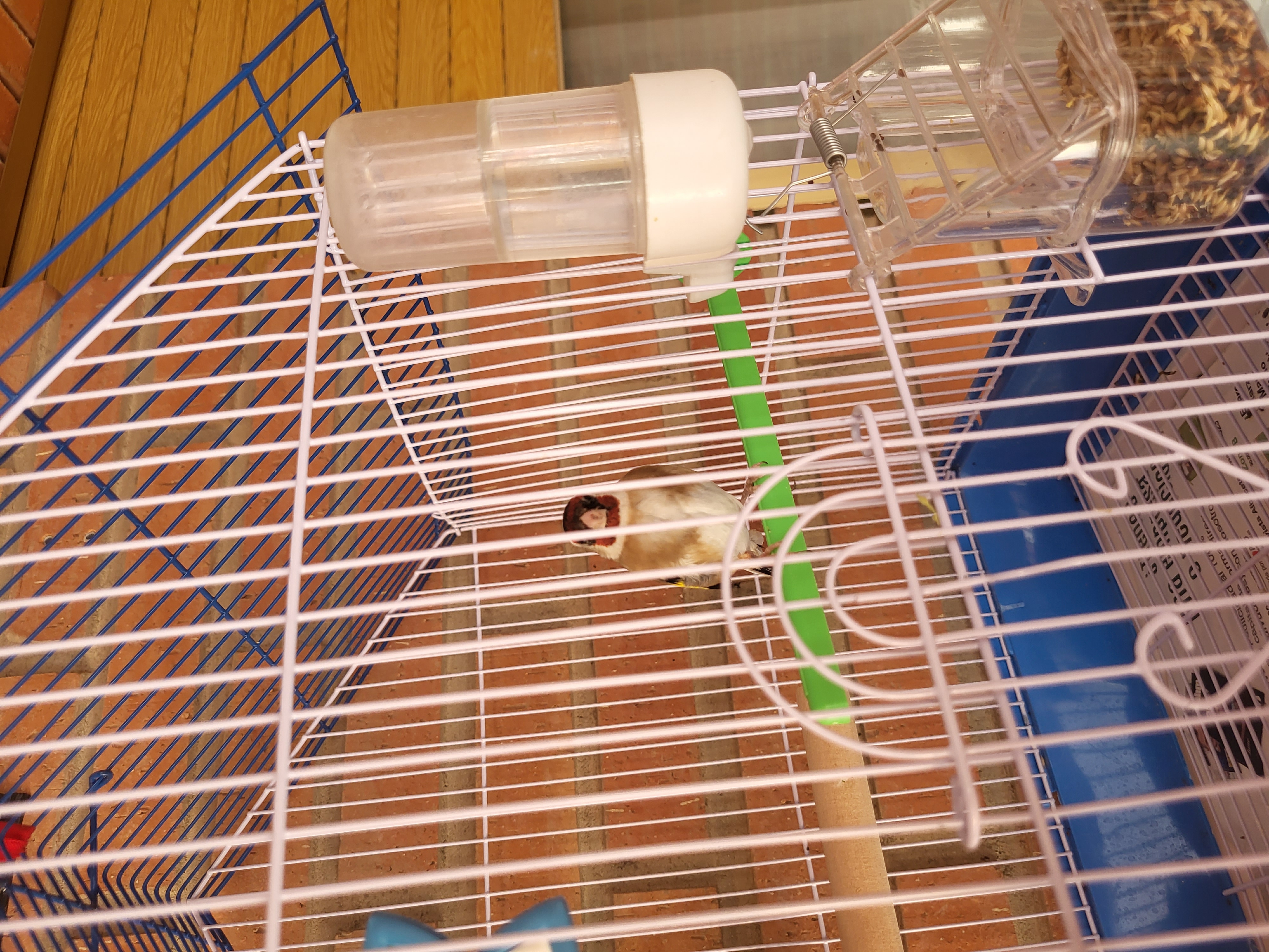 20230815_105757.jpg