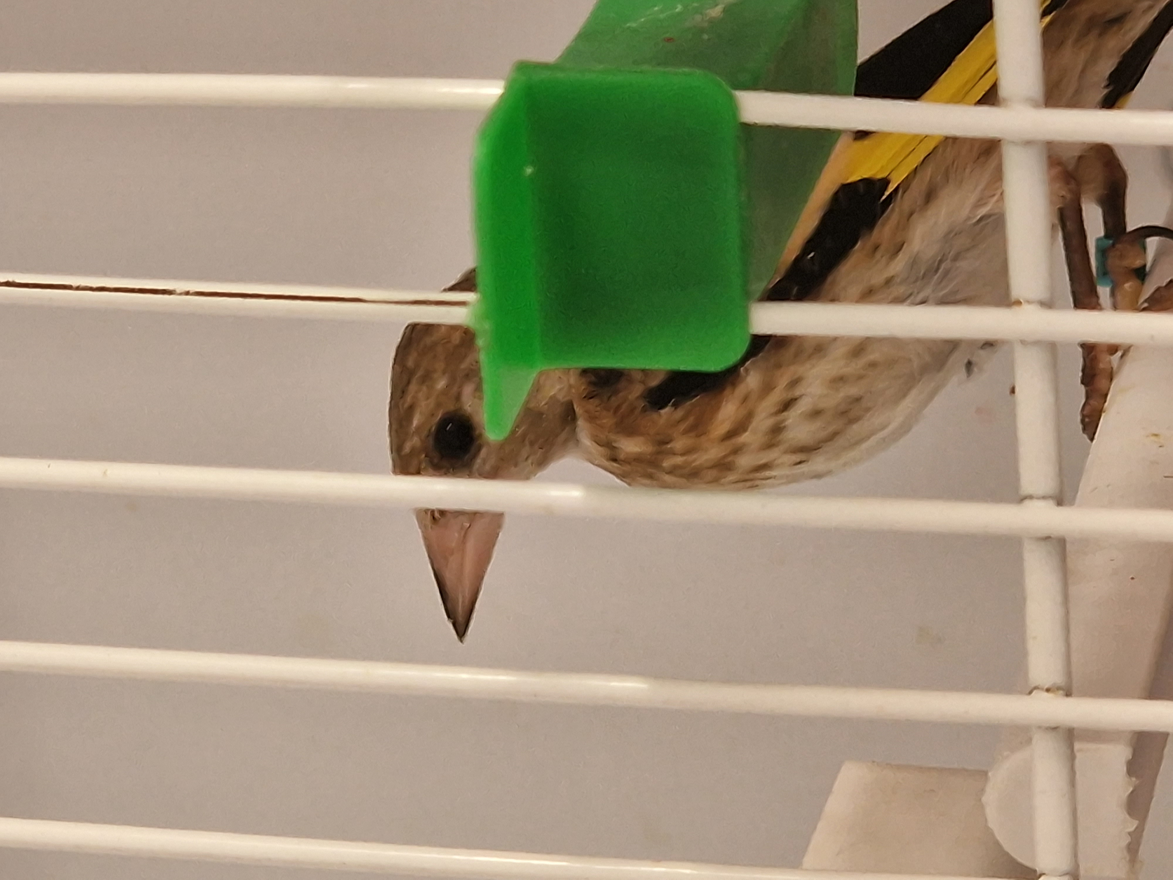 20230817_172917.jpg