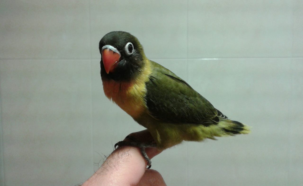 20131021_005441-1.jpg