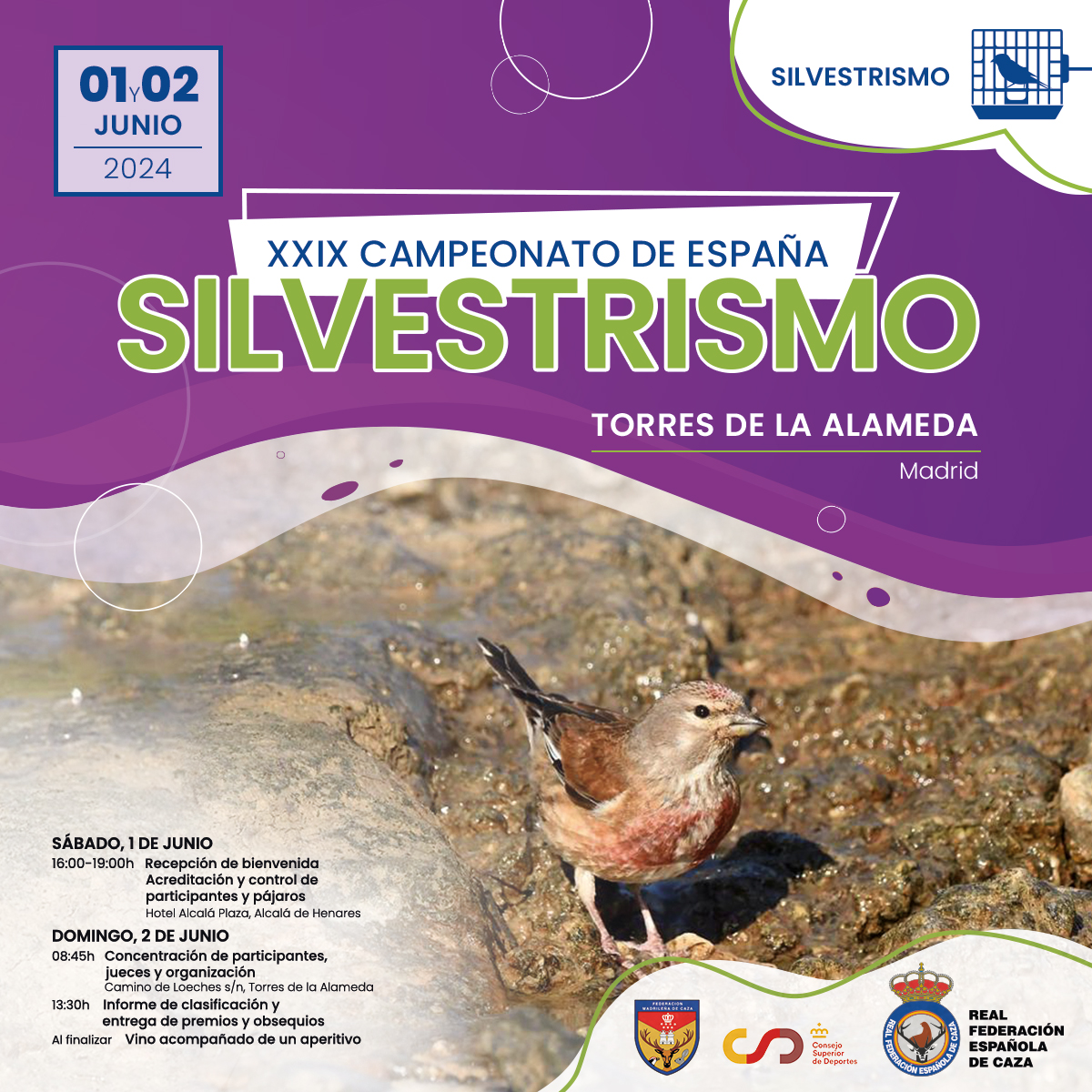RFEC-Campeonatos-Carteleria_Silvestrismo_FB-1200x1200-Programa.jpg
