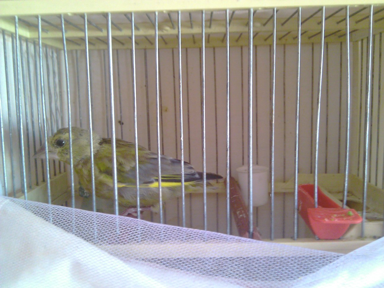 IMAG0166.jpg