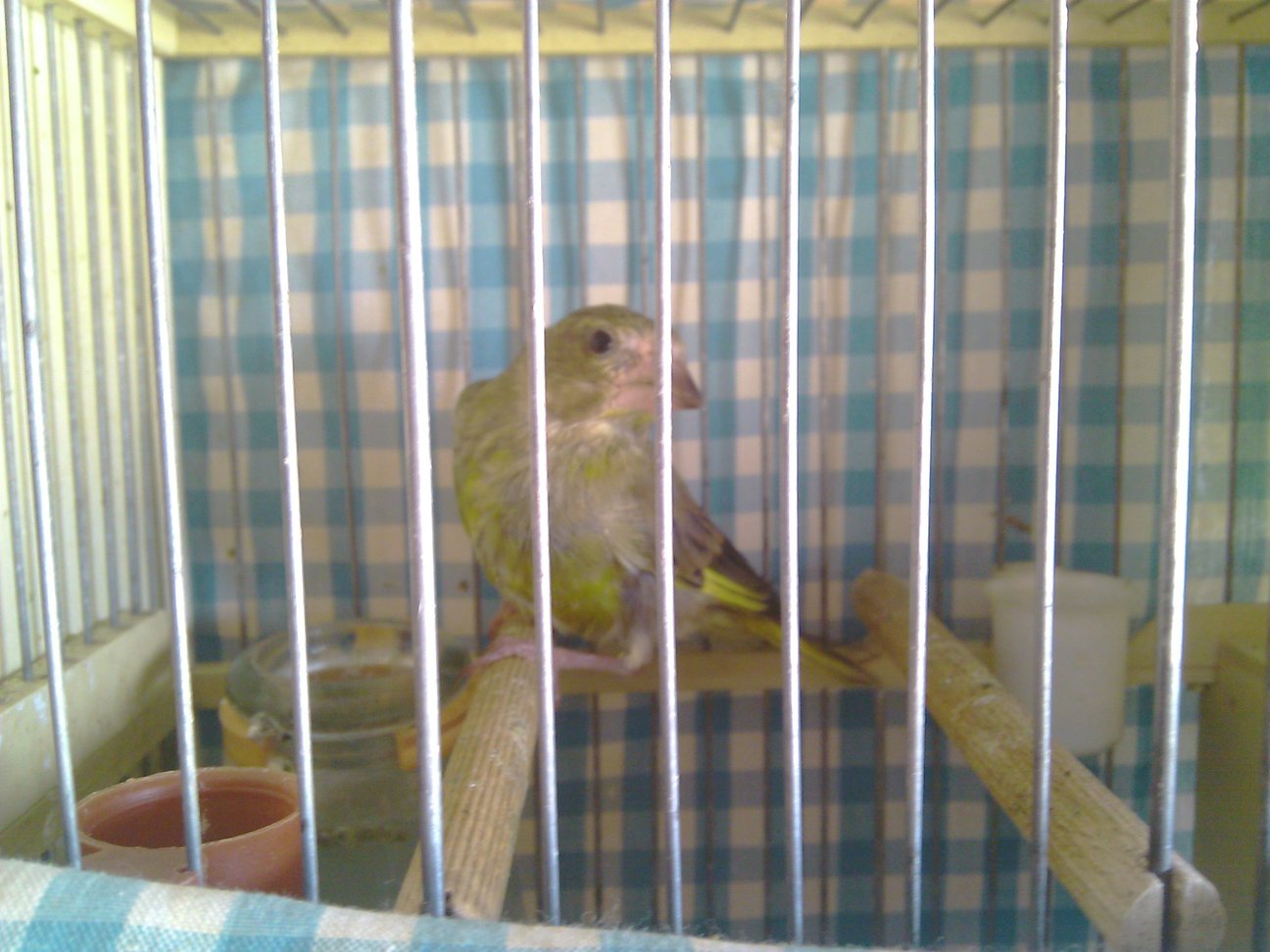 IMAG0167.jpg