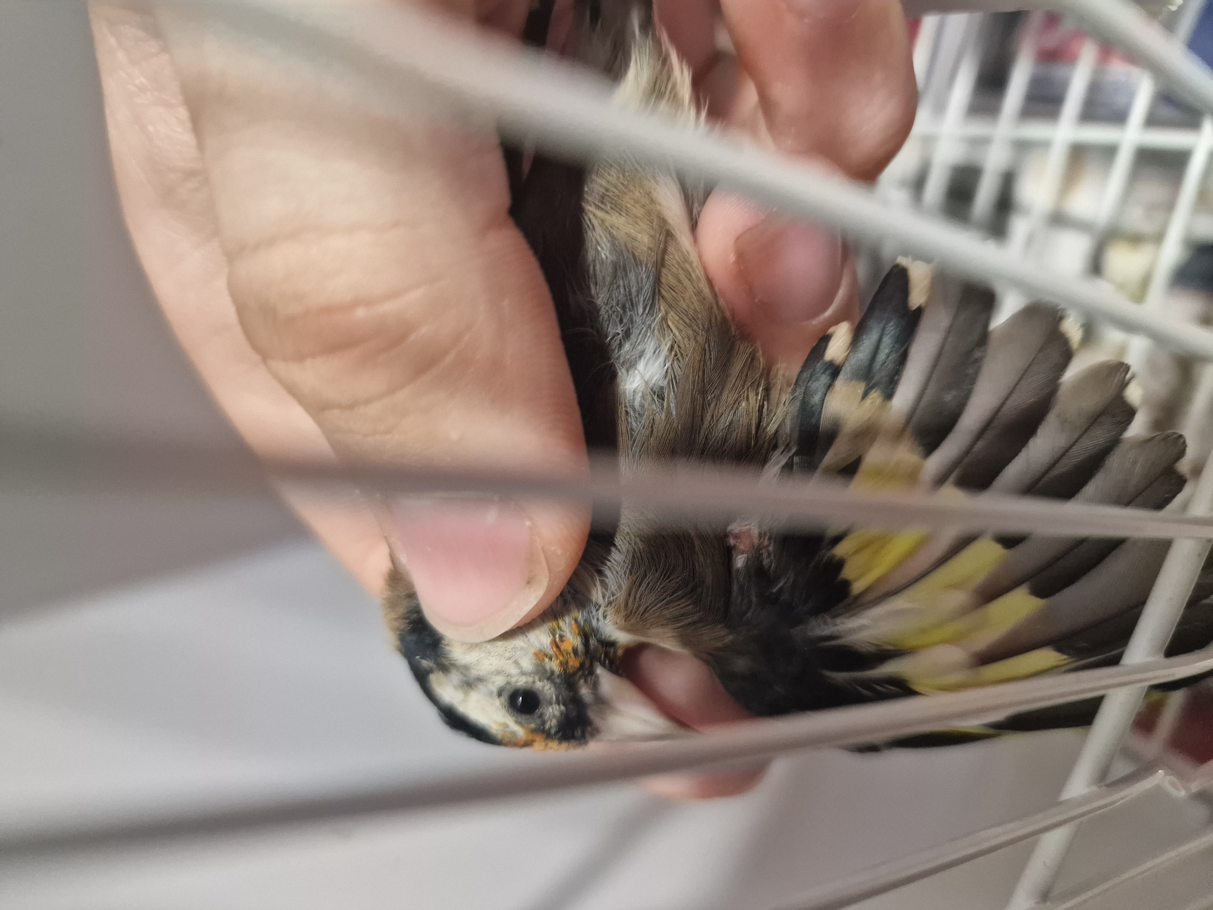 20240917_120731.jpg
