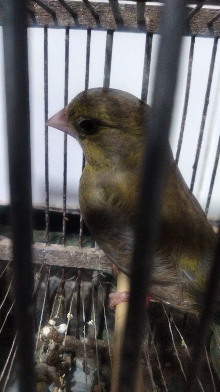 IMG-20250310-WA0094.jpeg