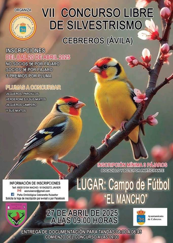Cebreros 27 abril.jpg