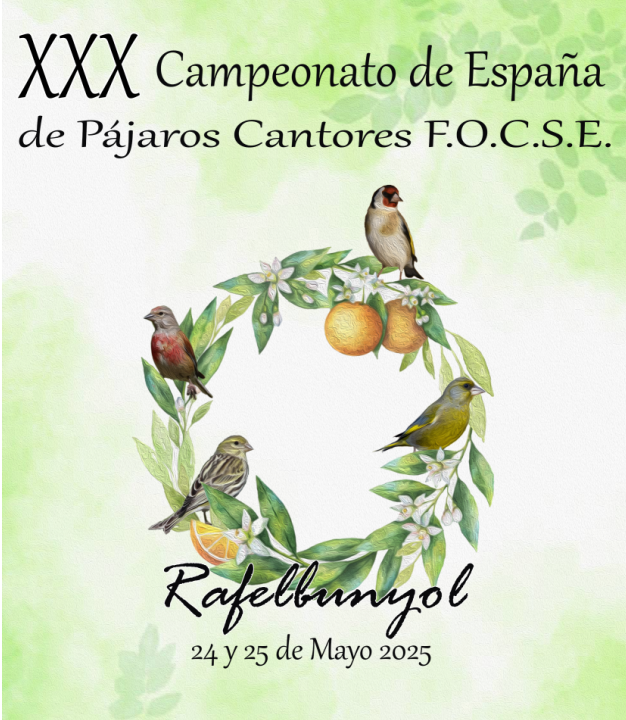 final Nacional focse.png